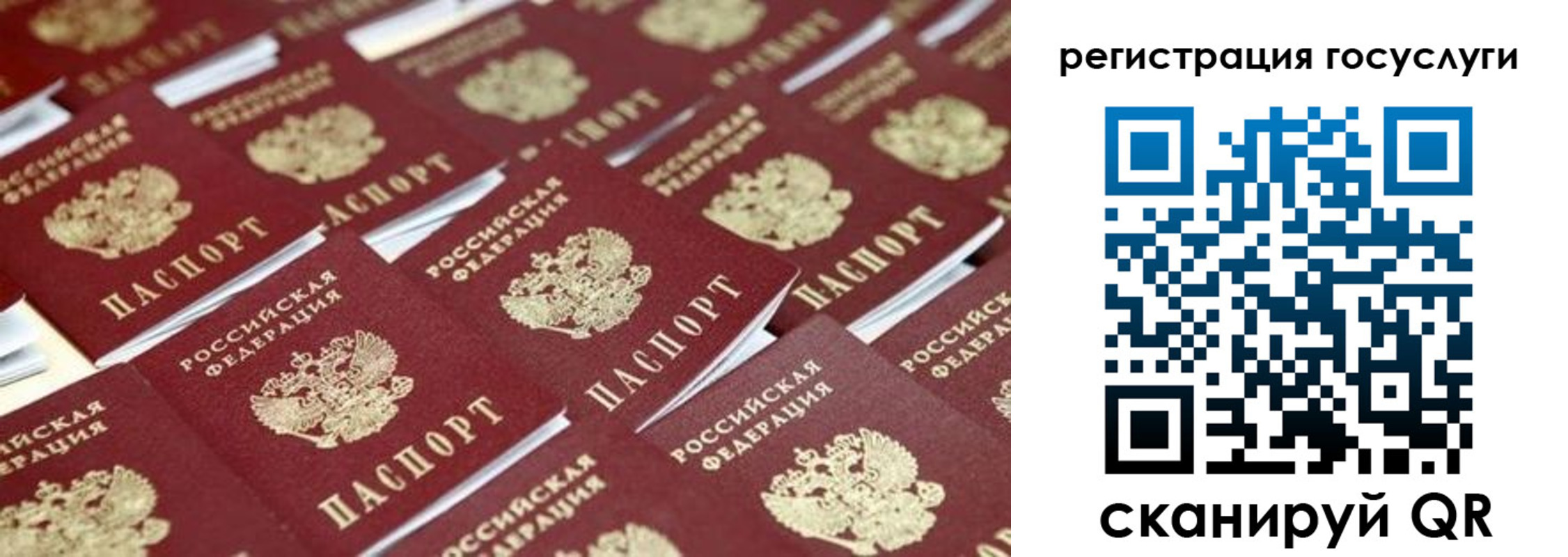 прописка ребенка в Светлогорске