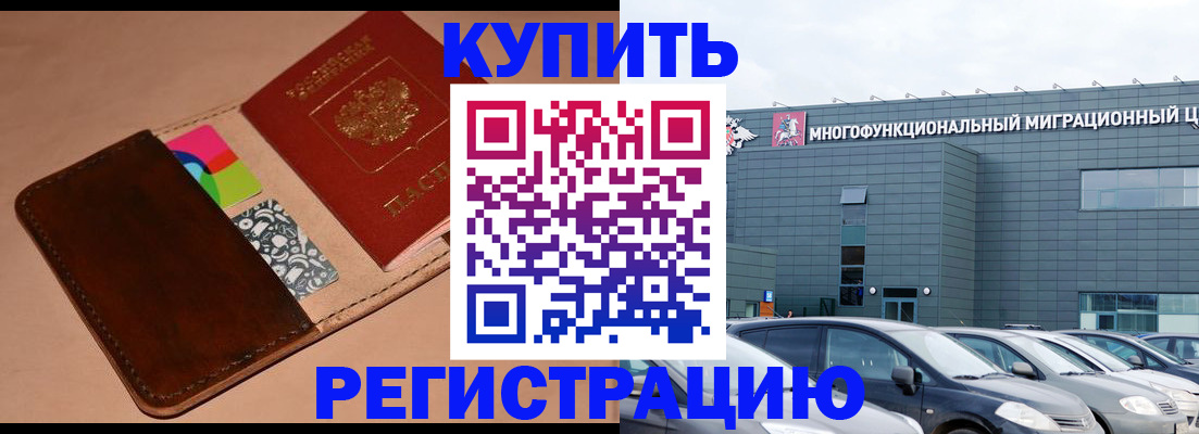 прописка поиск в Светлогорске