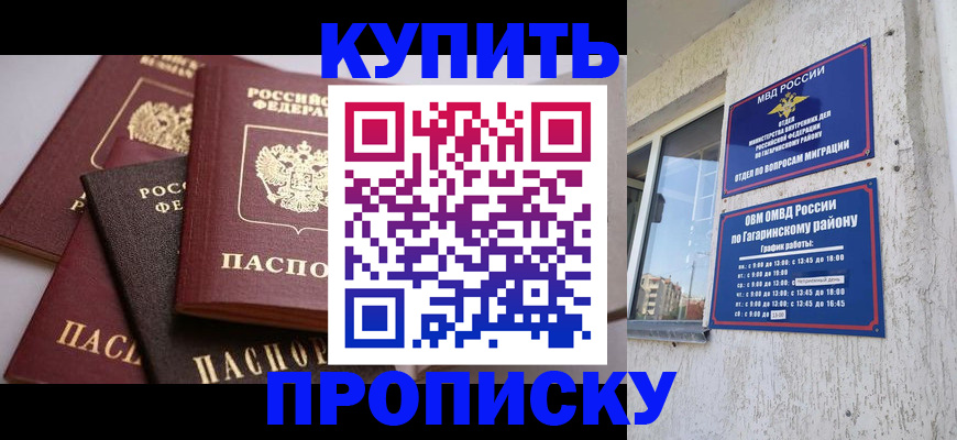найти адрес прописки в Светлогорске